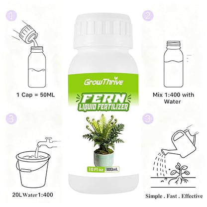 Fern Liquid Fertilizer – Natural Organic Plant Food for Ferns, Indoor & Outdoor Use, 300ml Concentrated Probiotic Formula for Greener Leaves, Strong Roots & Healthy Growth