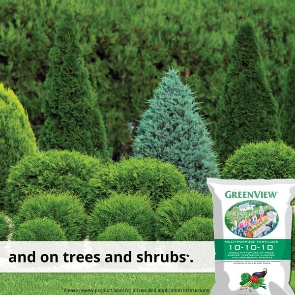 Green View No.40 10-10-10 All Purpose Fertilizer (21-30192)