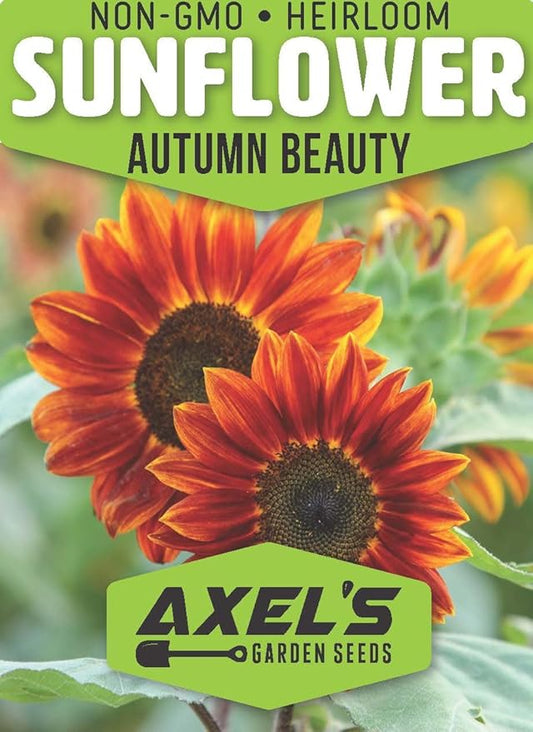 Sunflower Mix Seeds for Planting - 50 Heirloom Non GMO Autumn Beauty Flower Seeds Plant & Grow Home Outdoor Annual Garden - 1 Packet
