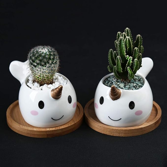 Cute Narwhal Succulent Planter Pot with Drainage Tray, Small White Ceramic Cactus Flower Container, Animal Whale Indoor Air Plants Holder