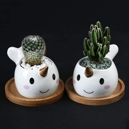 Cute Narwhal Succulent Planter Pot with Drainage Tray, Small White Ceramic Cactus Flower Container, Animal Whale Indoor Air Plants Holder