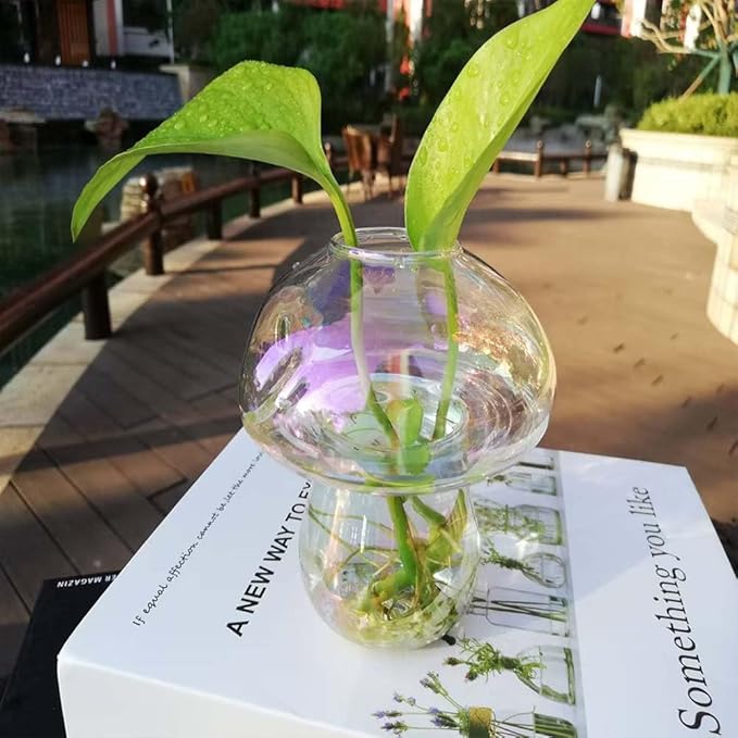 Wall Hanging Mushroom Vase, Small Plant Propagation Stations Fall Bud Vase Cute Mushroom Glass Planter Terrarium Indoor Hydroponic Flower Holder for Elegant Home Decor Gifts, Colorful, 1 PC
