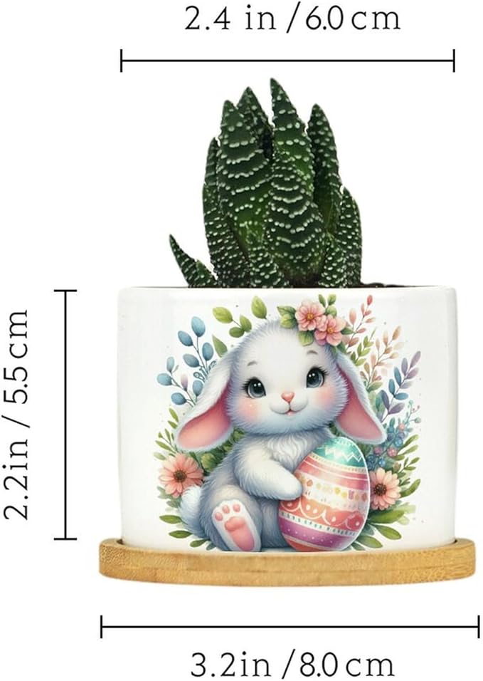 DreamAutumn Easter Bunny Rabbit Ceramic Planters Ceramic Pots with Saucers Orchid Pots for Plants Succulents Pots Office Desk Garden Balconys New Home Decor,Gifts for Mom Mother Grandmother