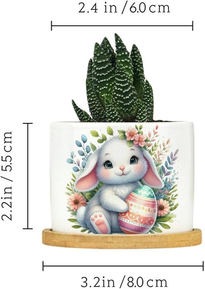 DreamAutumn Easter Bunny Rabbit Ceramic Planters Ceramic Pots with Saucers Orchid Pots for Plants Succulents Pots Office Desk Garden Balconys New Home Decor,Gifts for Mom Mother Grandmother