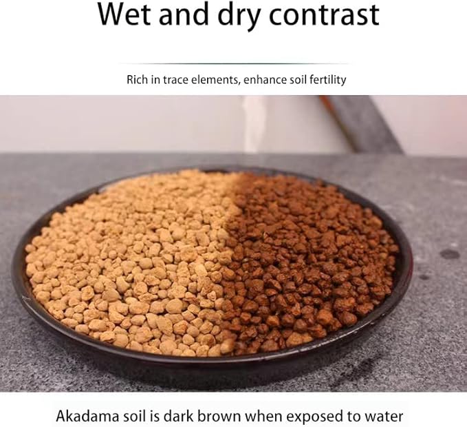 Japanese Super Hard Akadama Bonsai Soil - Medium Grain (6lb) | Ideal for Established Medium to Large Bonsai, Pond Plants, Bonsai Drainage Layers, Plants with Extensive Root Systems