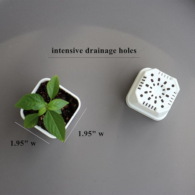 BangQiao 200 Pack 1.95 Inch Tiny White Plastic Square Nursery and Seedling Pot, Mini Transplant Seed Starter Planter with Drain Hole for Germination, Herb, Succulent