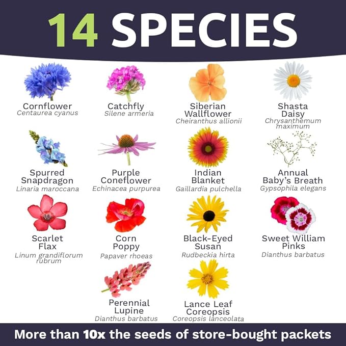 Sweet Yards - Northeast Wildflower Seed Regional Mixes - Bulk 1/4 Pound Bag - Over 30,000 Native Seeds - Open Pollinated and Non GMO Varieties for New York, Virginia, Pennsylvania, Maine and More!