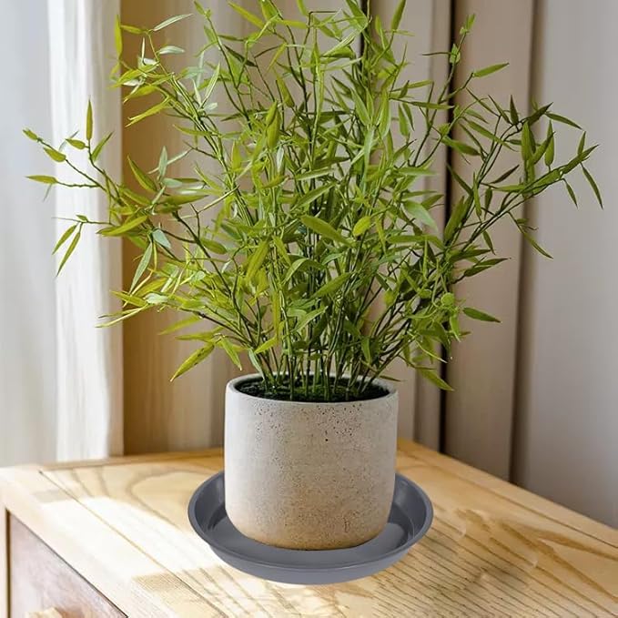 6 Pack of Plant Saucer 16 Inch, Plant Tray Round, Plastic Flower Plant Trays for Pots, Plant Saucers for Indoors 16", Plant Pot Saucers, Planter Tray for Planter 13-16" (16", Gray)