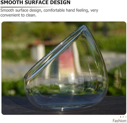Cabilock 2pcs Transparent Glass Micro Landscape Bottles Multi-Functional Household Storage Holders for Succulents Plants and Home Organization