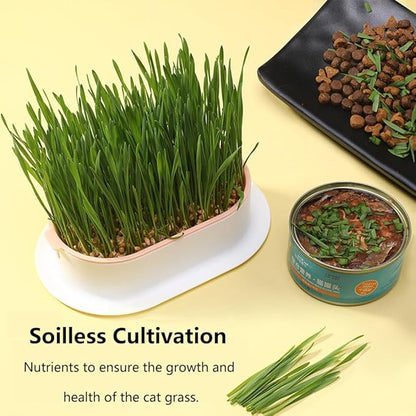 Household Cat Grass Planter, Plastic Catnip Cat Grass Box Soil Cat Plant Planting Box Nursery Cat Plant for Pet(Size:3pcs)