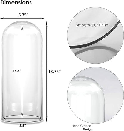 CYS EXCEL Glass Dome Cloche (H:13.75" D:5.75") | Multiple Sizes Decorative Showcase Display for Antique Collectibles | Bell Jar Terrarium & Dessert Cover