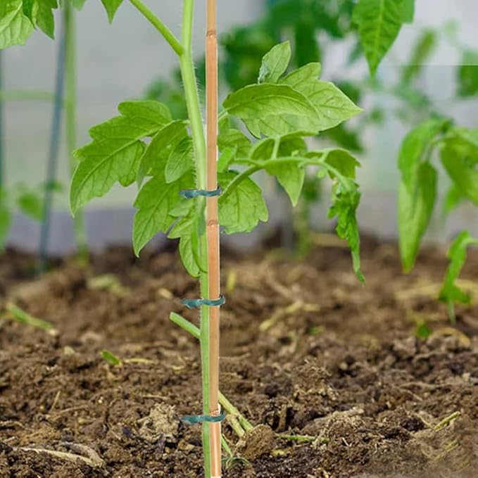 20 Pcs 18 Inch Natural Bamboo Plant Support Stakes for Indoor Plants, Bamboo Sticks Poles Garden Bamboo Stakes for Potted Plants, Tomato, Beans