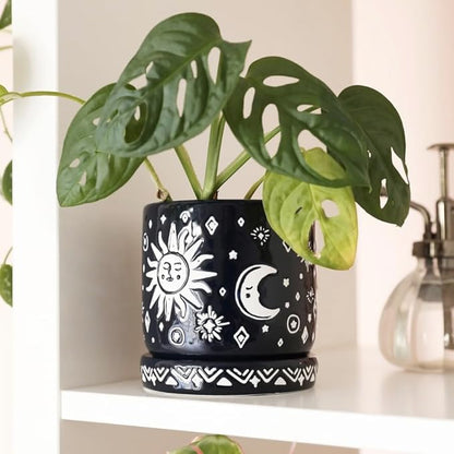 Midnight Sun & Moon Phases Planter | Indoor for Succulents | Sun Moon Pot | Celestial Theme | Succulent Space Theme | Air Plants