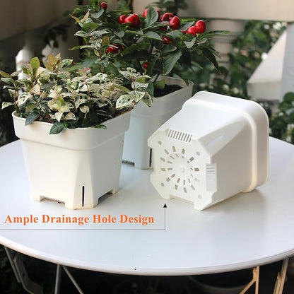 BangQiao 20 Pack 5.50 Inch White Plastic Nursery and Seedling Pots, Square Seed Starter Plant Pot Container for Cactus, Succulent, Cutting, Transplanting