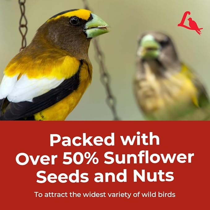 Lyric Supreme Wild Bird Seed - Wild Bird Food Mix with Nuts & Sunflower Seeds for Outside Feeders - Attracts Many Beautiful Songbirds - 20 lb bag