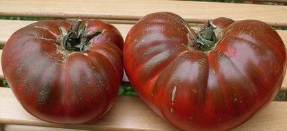 Seeds Tomato Black Prince Giant Heirloom Vegetable Non GMO