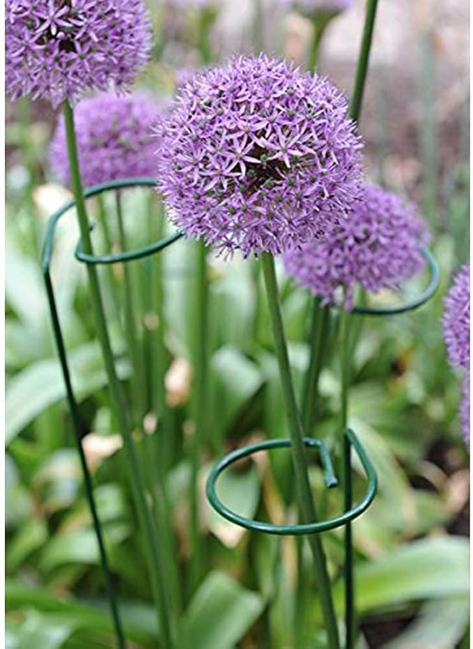 36 Inches Single Stem Plant Support Stakes Steel Garden Stakes Plant Stem Support, Pack of 20