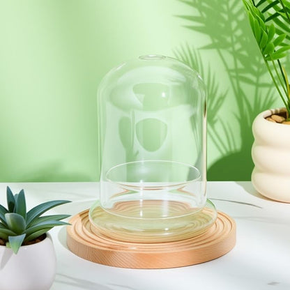 2 Pcs 4.7 x 6.3 Inch Glass Terrarium Clear Terrarium Planter Container Glass Dome Cloche with Airhole and Base for Plant Flower Home Tabletop Display Centerpiece, Plants Not Included