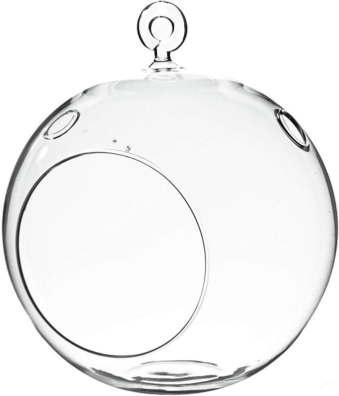 WGV Hanging Terrarium Globe, Width 6", Height 6.5", DIY Air Succulent Planter, Clear Glass Vase Orb with Flat Bottom, Candle Holder for Windowsill Outdoor Garden Decor, 1 Piece
