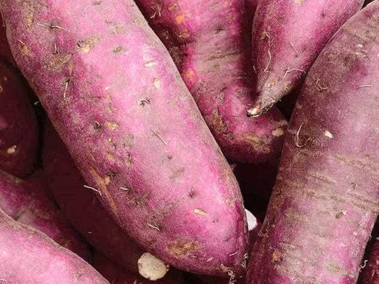 Generic 50pcs Sweet Potato Vegetable Seeds Purple