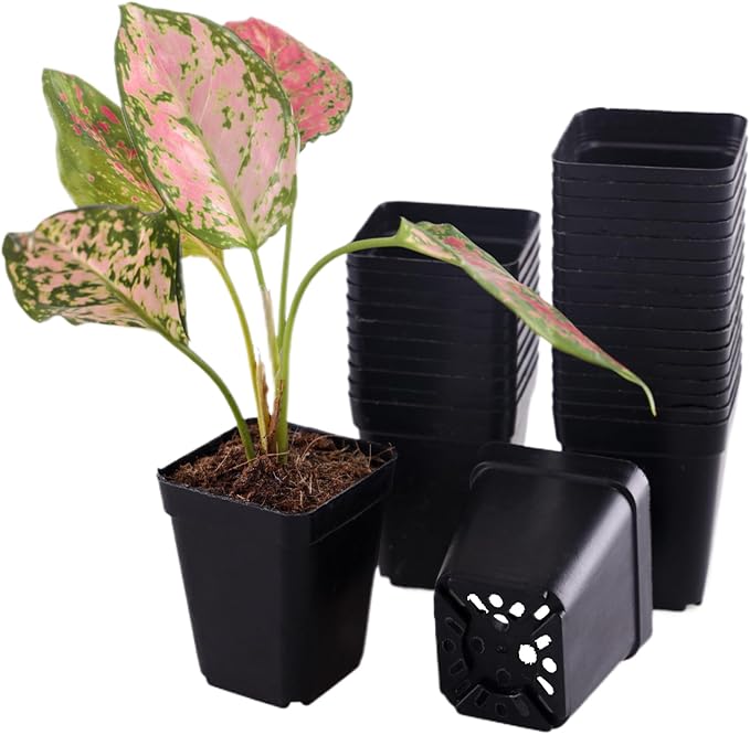 50 Packs Square Nursery Pots for Plants 2.2 Inch Succulent Plant Pots Set Plastic Seedling Starting Pots with Drainage Holes Nursery Pots Variety Pack Flower pots Planter Seed Starter, Black