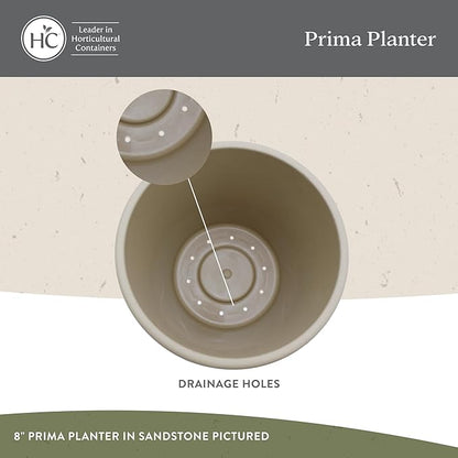 The HC Companies Prima Round Plastic Plant Pot w/Rolled Rim - Lightweight & UV Resistant Flower Pot for Herbs & More - Outdoor & Indoor Plant Pots w/Drainage (12 inch, Warm Gray, Pack of 1)