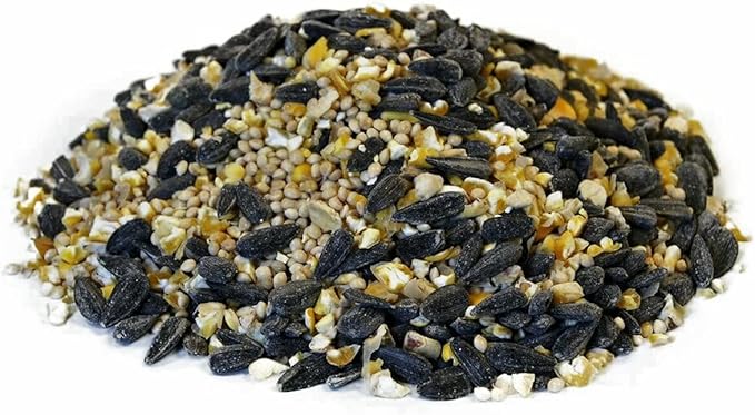 CountryMax Songbird Wild Bird Seed Mix 50lbs - Premium Bird Food Blend for Outside Feeders, Large Bulk Bag of Wild Bird Feed