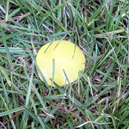 Low Profile Survey Stakes - 2 Pack - Yellow