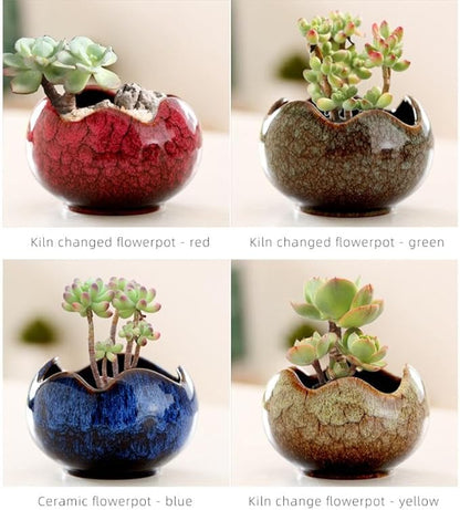 YYW Succulent Pots Small Flower Pots with Drainage Hole Ceramic Planters for Indoor Plants Stylish Plant Pots in Egg Broken Shell Design for Home Office Decor Shallow Plant Pots for Plant Lovers Gifts