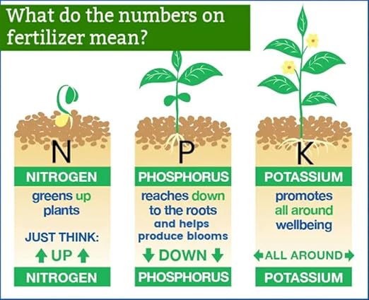 𝐁𝐄𝐒𝐓𝐒𝐄𝐋𝐋𝐄𝐑 20-20-20 Water-Soluble Fertilizer – Powder for Liquid Plant Food for Indoor & Outdoor Plants, Orchids, Vegetables, Lawns, Flowers – 20 20 20 Fertilizer [16 OZ]