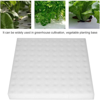 Mumusuki Sponge Cubes, Hydroponic Sponge Planting Tool DIY Foam Cloner, Reusable for Net Pots Aeroponics, for Greenhouse Hydroponic Gardening