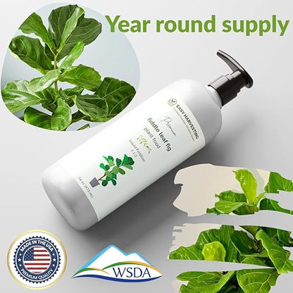 Fiddle Leaf Fig Fertilizer by Easy Harvesting – Premium 3-1-2 Liquid Plant Food | One Bottle Makes 118 Gallons | Pet Safe, Gentle Formula for Indoor Houseplants (16oz Pump Bottle)