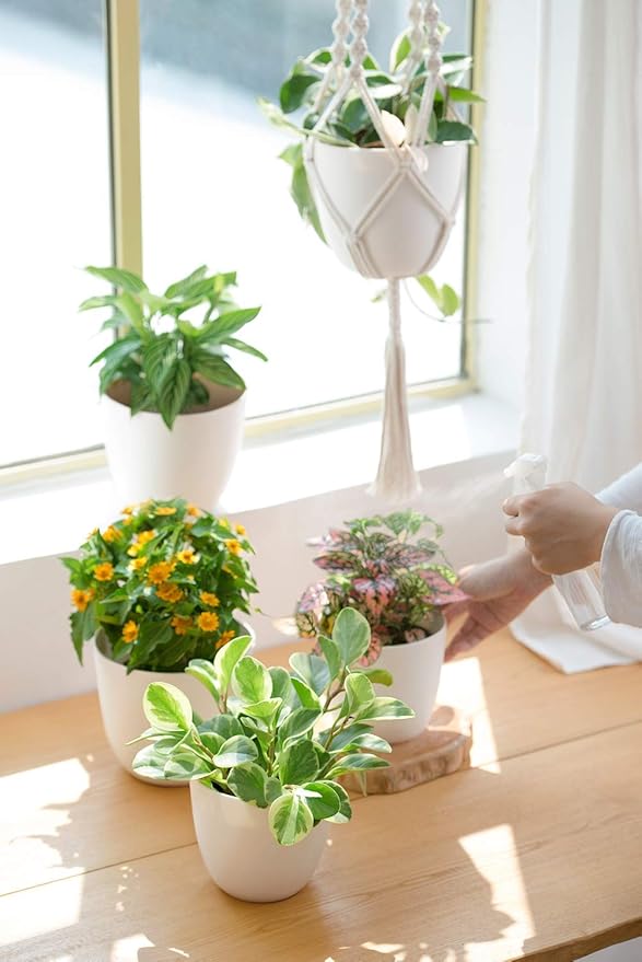 Mkono 6.5 Inch Plastic Planters with Saucers Set of 5 Macrame Plant Hangers Set of 4 Indoor Decorative Flower Pot Holder with 4 Hooks
