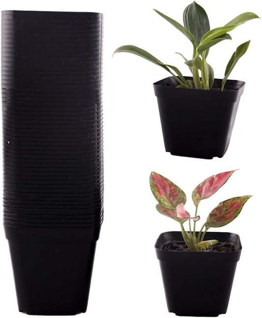 50 Packs Square Nursery Pots for Plants 4 Inch Succulent Plant Pots Set Plastic Seedling Starting Pots with Drainage Holes Nursery Pots Variety Pack Flower pots Planter Seed Starter, Black