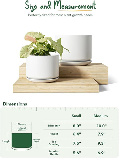 LE TAUCI Ceramic Plant Pots, Set of 2, 8+10 Inch Plant Pots Indoor with Drainage Hole & Saucer, Sturdy Planters for Indoor Plants, Modern Minimalist Decor for Snake Plant, Monstera, White