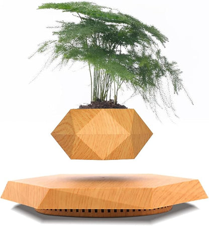 Levitating Plant Pot, Magnetic Levitation Flower Pot Rotating Planters Suspension Floating Plant Succulents Potted for Home Living Room Office Desk Decoration (Wood)