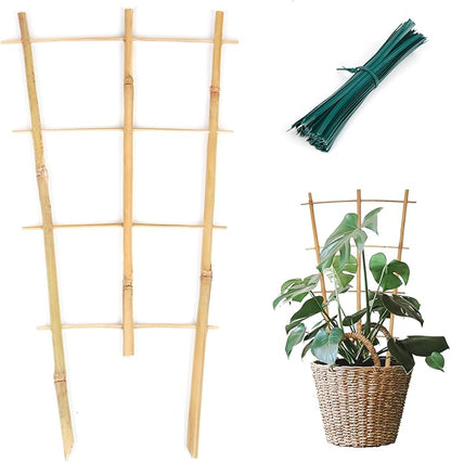 Plant Trellis Indoor 6 Pack Bamboo Trellis with Twist Ties, 16in Fan-Shaped Plant Trellises for Potted Plants Hoya Vines Monstera Houseplants