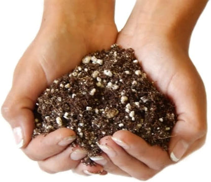 Organic Succulent and Cactus Potting Soil Mix - Premium Quality, High Drainage - 1 Gallon (4 Dry Quarts)