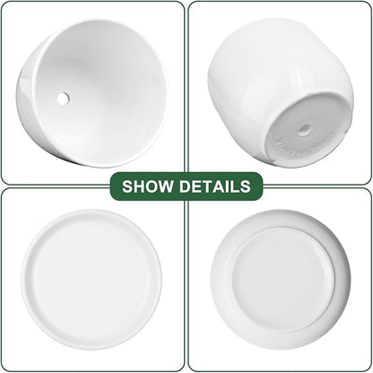 Ceramic Plant Pots,White 5.5 Inch Flower Pots for Plants,Ceramic Planter with Drainage Holes,Indoor Planter Pots with Saucer,Outdoor Garden Pots (White, 4 Pack)