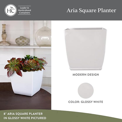 The HC Companies Aria Self Watering Square Plant Pot w/Drainage - Planters for Outdoor Plants & Indoor Plants - Lightweight & UV-Resistant Plastic Pots for Plants (6" Glossy White, Pack of 2)