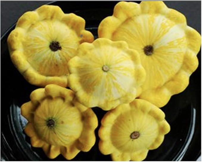 Sweet Dumpling Squash Seeds - Approximately 30 Seeds