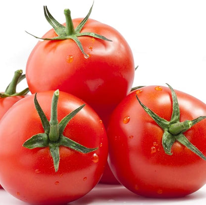 Jobe’s Fertilizer 06000, Spikes, for All Tomato Plants, 18 Spikes (Pack of 2)