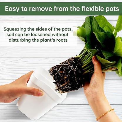 80 Pcs Nursery Pots 4 Inch, Plastic Seed Starting Pot with Drainage Holes, Small Sturdy Seedling pots for Planting, Succulents, Transplanting, Cuttings (White)