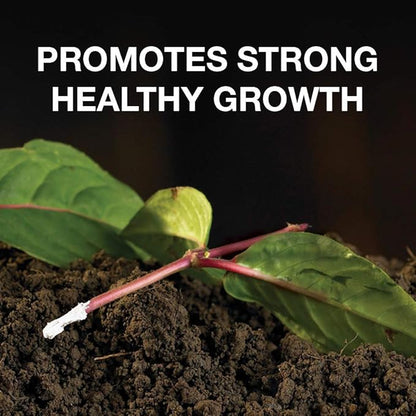 Doff Hormone Rooting Powder Plant and Cuttings 75g Dibber Pack Rootings Power