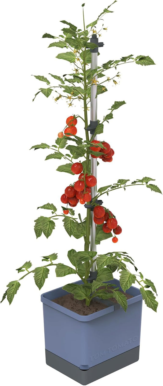 BUZZY Seeds Self-Watering Vertical Tomato Planter with Trellis – 1.2 Gal Reservoir, Large Capacity Planter for Tomatoes & Climbing Plants (Blue)