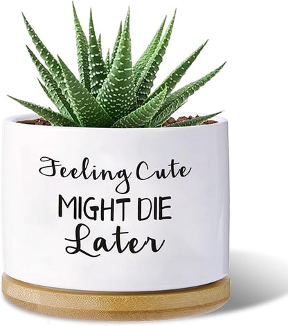 Funny planters for Indoor Plants Garden Succulent Pots, with Drainage Holes and Saucer(No Plants) (Feeling Cute Might Die Later)