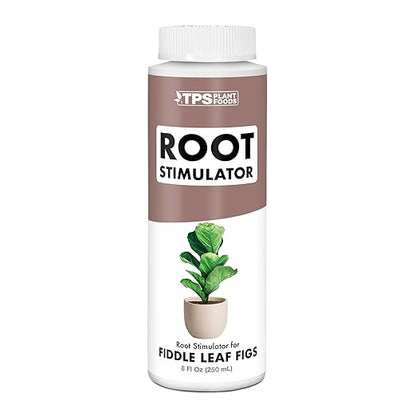 Root Stimulator for Fiddle Leaf Figs – Liquid Root Booster with Probiotics & Seaweed to Support Healthy Root Growth, 8 oz