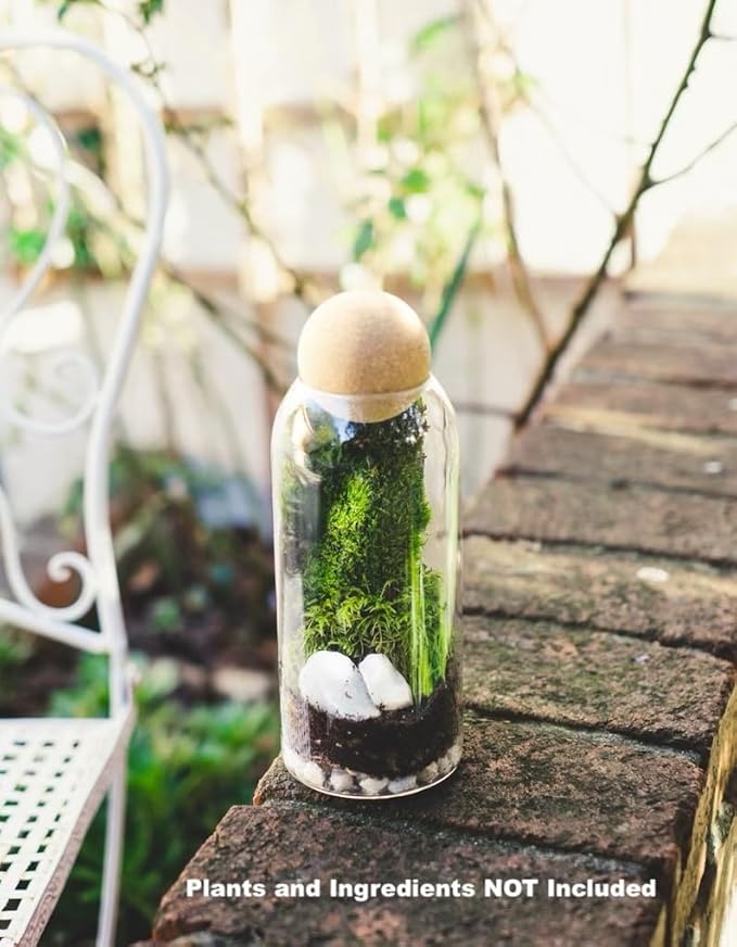 Glass Terrariums with Airtight Wooden Lid (Ball Cork) | Closed Terrarium Planters | Clear Glass Bottle Jar Containers | Set of 3 | Jars for Indoor Plants/Moss (Set of 3 (1200ml / 40oz))