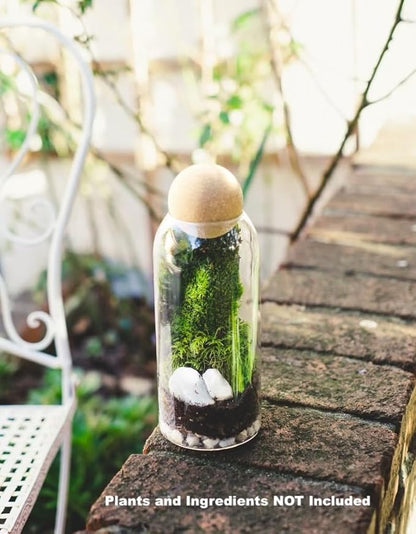 Glass Terrariums with Airtight Wooden Lid (Ball Cork) | Closed Terrarium Planters | Clear Glass Bottle Jar Containers | Set of 3 | Jars for Indoor Plants/Moss (Set of 3 (1200ml / 40oz))