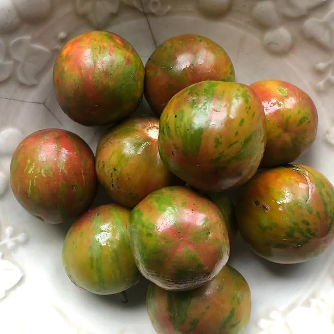 Smoke Camp Crafts Organic Green Zebra Tomato Seeds, 150 Seeds (0.5 g) - Grow Your own Heirloom Tomatoes, Open-Pollinated Variety
